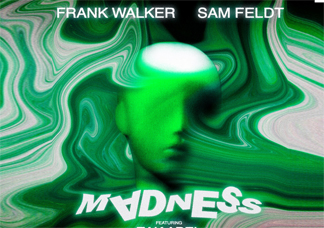 Am Feld x Frank Walker – die neue Sommer EDM 